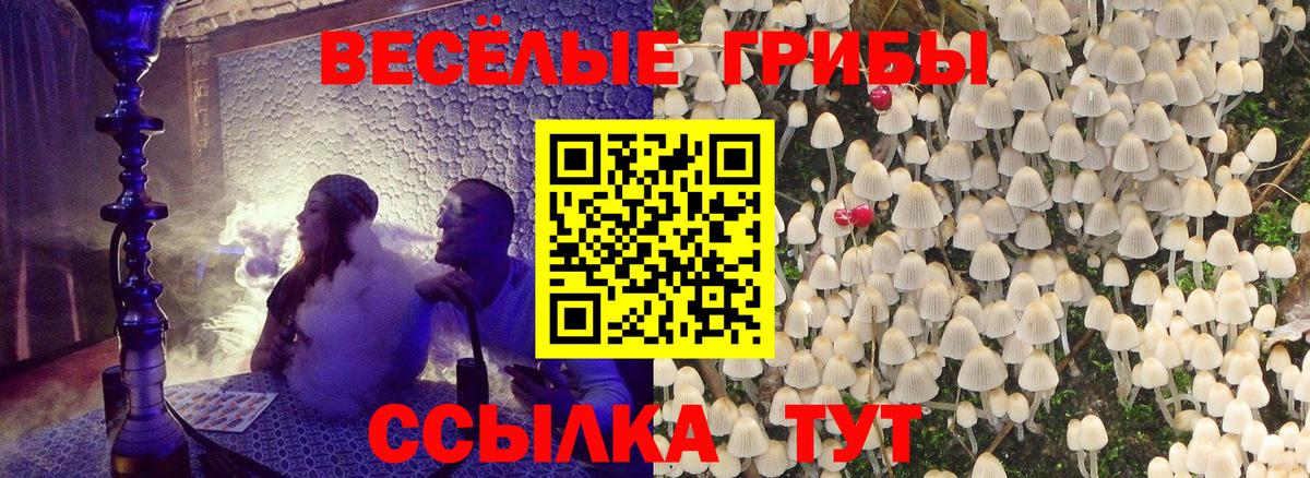 Галлюциногенные грибы Cubensis  Вход с VPN  Галлюциногенные грибы Cubensis  как найти   Комсомольск-на-Амуре 